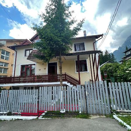 Constantinescu A. Hotel Buşteni Exterior foto